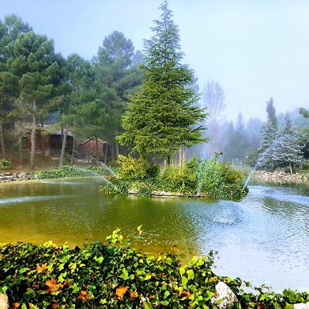 Chalet Esmeralda 3 D Y 2 Banos Zafiro Lagunazo Parque Natural Rio Mundo Riópar Esterno foto