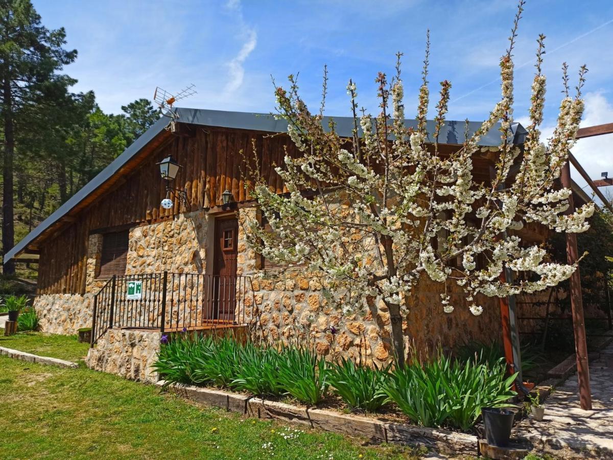 Chalet Esmeralda 3 D Y 2 Banos Zafiro Lagunazo Parque Natural Rio Mundo Riópar Esterno foto