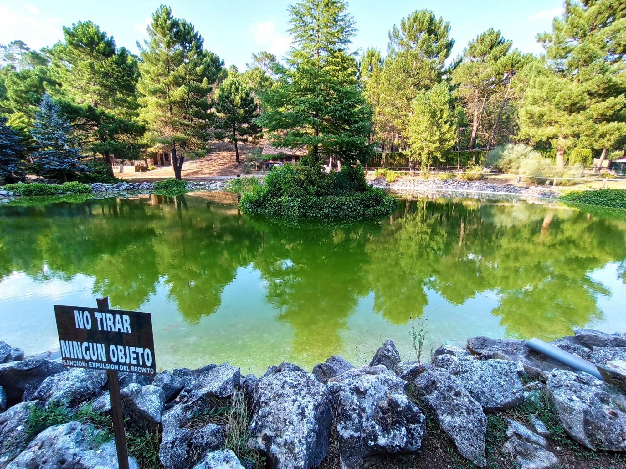Chalet Esmeralda 3 D Y 2 Banos Zafiro Lagunazo Parque Natural Rio Mundo Riópar Esterno foto